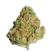 (INDICA) Death Goo