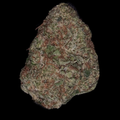 Baby Superman | 28-31% THC | INDICA | $80 an oz | $120 for 2 Ozs | $200 for 4 Oz | $325 for 8 ozs | thumbnail 2