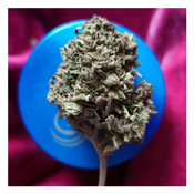 *NEW Special Sale* Apple Fritter (1oz - $80 / 2oz - $150) (THC 25%) thumbnail 2