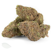 Cheese Quake (AAA Indica Dominant Flower) thumbnail 2