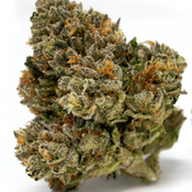 3OZ FOR $120 - Dog Walker Kush