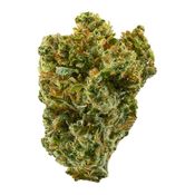 Super Silver Haze 14g