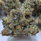 (NEW) Animal Face $120/Oz 🔥 