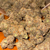 Death Star  BC GAS⛽️ NEW DROP   thumbnail 2