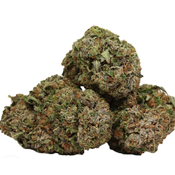AAAA Black Tuna - Indica- 28% THC