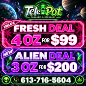 Telepot