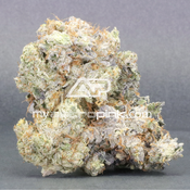 Lot #1927 Bugatti Pink