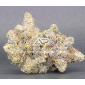   Astropink | Lot #6150 - PLATINUM GOO (7g / 14g)