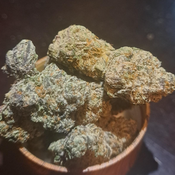 Purple Runtz ( This stuff is FIRE) 2for180