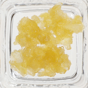 Gelato Haze Live Resin