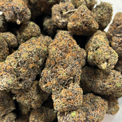 GRAND MASTER FLEX 💪 BC CAFT PICK 