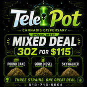Telepot