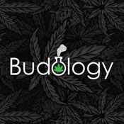 Budology - Delivery