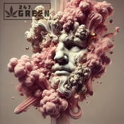 Pink Gas Face - BC Exotic - AAAA+