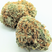 .ISLAND PINK 🏝️🩷 AAAA+ CRAFT **$100oz**2oz/180$** FREE GUMMIES