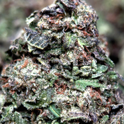 (28G) - Death Star ☠️⭐⛽ Indica | 4Oz Bulk Deal for $200 thumbnail 2