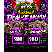 DEAL OF THE MONTH 