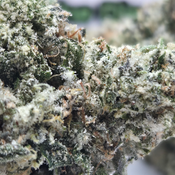 (NEW) Wedding Crasher 🤵👰💥 thumbnail 2