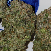 Bc Pink Diamond