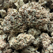 BUMPER OG 60OZ 2FOR110 4FOR400