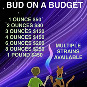 BUD ON A BUDGET - 1/2/3/4/6/8/16 OUNCE DEALS + ALL FREEBIES