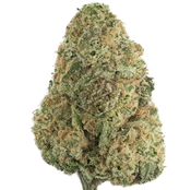 $200 FOR QP  -  Cookies 