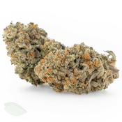 Platinum Punch LSO (Sativa Dominant Flower) thumbnail 1