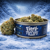  🏆 FROST FACTORY | GREASY RUNTZ - COLD CURED QUADS - 14g