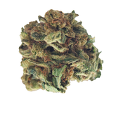 BC (AAA) KING KUSH  thumbnail 3