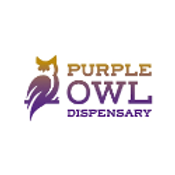 Purple Owl
