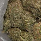 Blueberry OG | INDICA | 23-28% THC |  $60 an oz | $80 for 2 ozs | WHOLESALE AVAILABLE | thumbnail 2