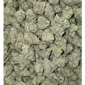 50% DANTES INFERNO SNOWBALL 150OZ 2FOR280 4FOR540 thumbnail 3