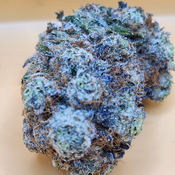 (5 STARS) Blackberry 💯🔥💣⛽️ 2 Oz for 250