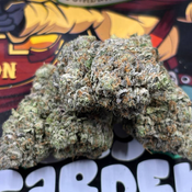  ⛽ AAAA+ | GUMBALL PINK BY GAS GARDENS 14G