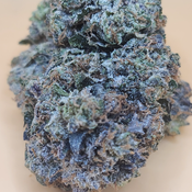 (5 STARS) Pop Rocks 💯🔥💣⛽️ 2 OZ FOR 250