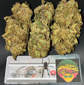 *********NEW $65/OZ* White Widow (AAA) THC: 27-29% CBD: 0.1% 