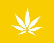 Coastal West LA Dispensary