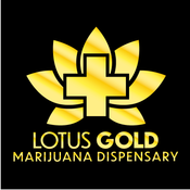 Lotus Gold - Enid - 24 Hours