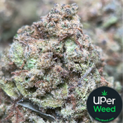 (28G) - Apple Pie 🥧🍎Hybrid | 4Oz Bulk Deal for $200