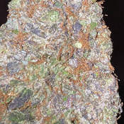 ☆☆☆WALT HERB COMPANY☆☆☆  4 KINGS 36% THC INDICA AAAAA (LOUD ⛽️) thumbnail 1