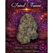 Animal Tsunami 🌊 🦒 | INDICA | 30-36% THC | $120 an oz | $180 for 2 ozs |