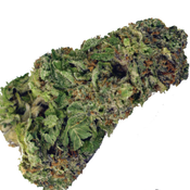 $200 FOR QP - HerMan 