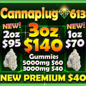 CannaPlug 613