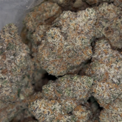 Ayahuasca Punch | INDICA | 29-35% THC | $120 an oz | $180 for 2 ozs | thumbnail 2