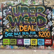 UPer Weed 5oz Mega Bulk Deal – Mix & Match | $200