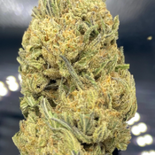 * NEW * Girl Scout Cookies 3A