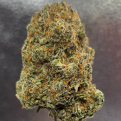 LA Pop Rockz AAAA (Quad Smallz) thumbnail 2