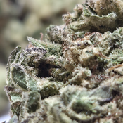 (NEW) OG Valley 🔥 ($65/oz) 🔥 