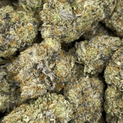 **NEW** DEATH SHARK LSO MEDIUMS☠️🦈  5 ⭐️ BY QUAD ZAZA - 80/20 INDICA DOMINANT