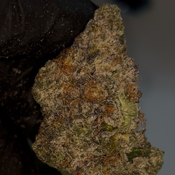 Devine Gelato🍨 HYBRID 28-31% THC $110 an oz, $160 for 2 ozs thumbnail 2